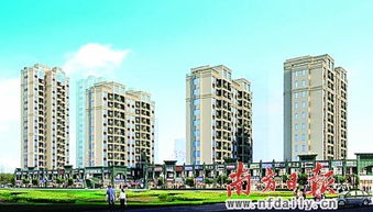 新春置業(yè)優(yōu)選指南 金鷹置業(yè)旗下12個(gè)精品樓盤(pán)推薦（二）